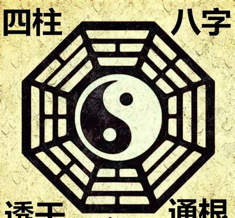 透干 意思|八字的透干与通根